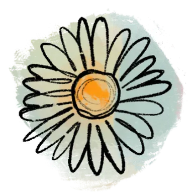 Daisy