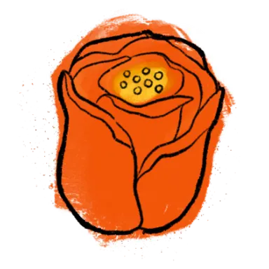 Tulip