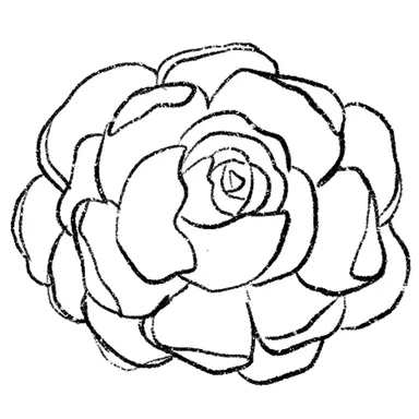 Peony